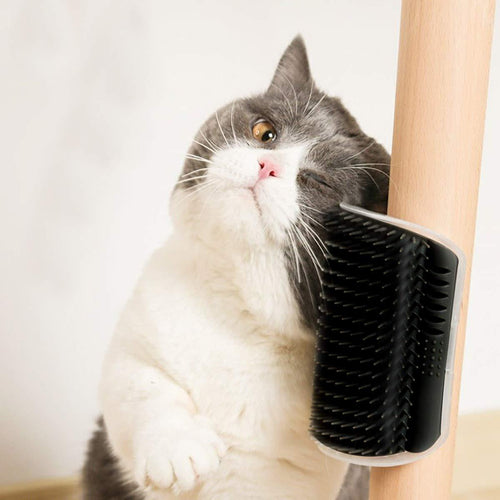 PurrGroom Self-Groomer